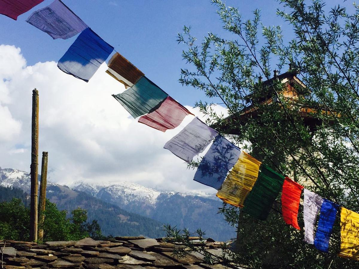 Bros Hostel Manali Eksteriør billede